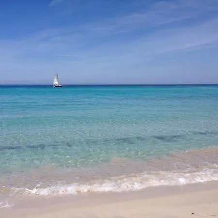 Maison Pieds Dans L Eau St Florent * サン・フロラン