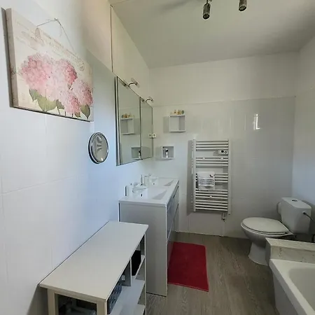 別荘 Maison Pieds Dans L Eau St Florent サン・フロラン